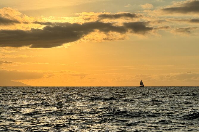 Private Sunset Tour in Marina La Cruz by Yacht - Two hours across Bay of Banderas