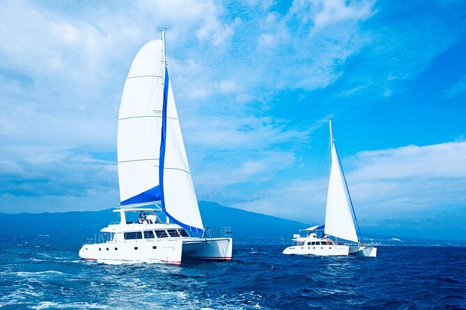 Private Tour in South Jeju including Yacht Cruise - Why this eight-hour route works
