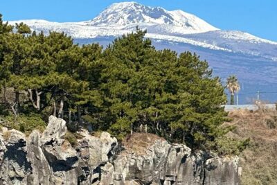Private Tour in South Jeju including Yacht Cruise