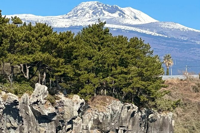 Private Tour in South Jeju including Yacht Cruise - A yacht view of South Jeju