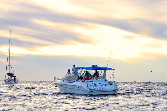Private Whale Watching on Luxury Yacht in Cabo San Lucas - What the marine biologist adds