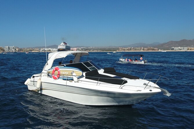Private Whale Watching on Luxury Yacht in Cabo San Lucas - Who will get the most from this trip