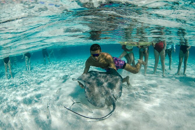Private Yacht 48 ft Sting Ray City, Snorkel & Starfish Beach - Price, timing, and practical planning