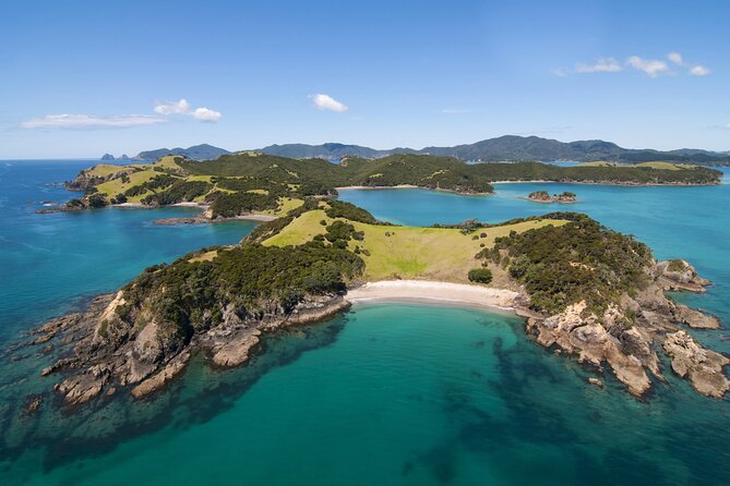 Private Yacht Charter and Island Excursions in the Bay of Islands - A relaxed option for families and mixed interests