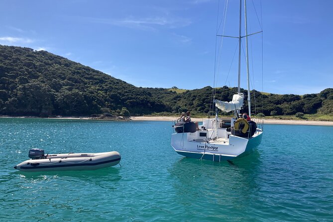 Private Yacht Charter and Island Excursions in the Bay of Islands - What the five-and-a-half-hour schedule really gives you