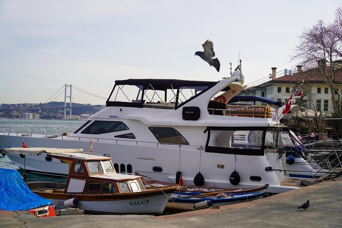 Private Yacht Cruise on Bosphorus - The European shore: Dolmabahçe to Ortaköy