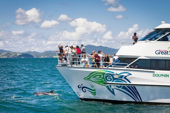 Private Yacht Cruise to Dolphin House with Lunch : Hurghada - Two reef stops with time in the water