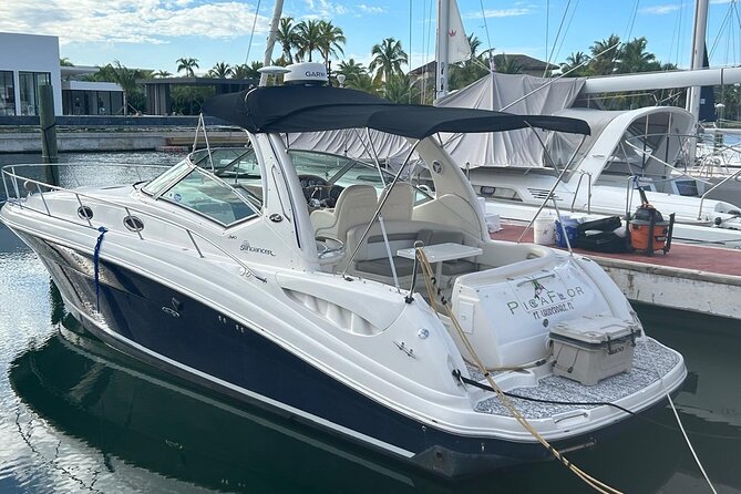 Private Yacht for Excursions in Punta Cana, Snorkeling and Booze - Snorkeling near Playa Los Corales