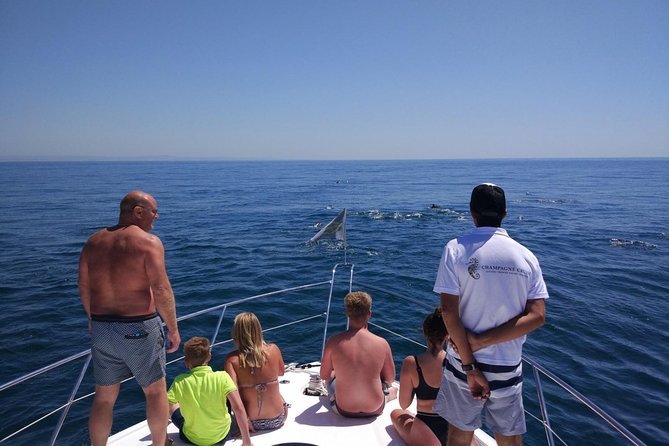Private Yacht Hire in The Algarve - Majestic - What the crew adds to the day