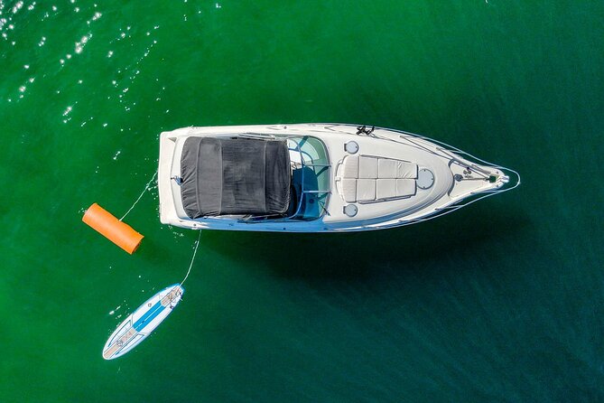 Private Yacht, Snorkeling or Sunset in Cabo San Lucas - Crew service and the feel of the outing