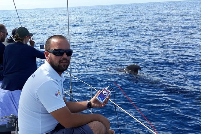 Private Yacht Tour With Whale and Dolphin Watching 33 Foot Boat - What the private price really buys
