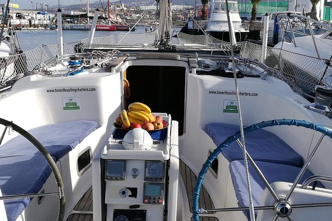 Private Yacht Tour With Whale and Dolphin Watching 42 Foot Boat - A Swim Stop With Snorkeling Gear