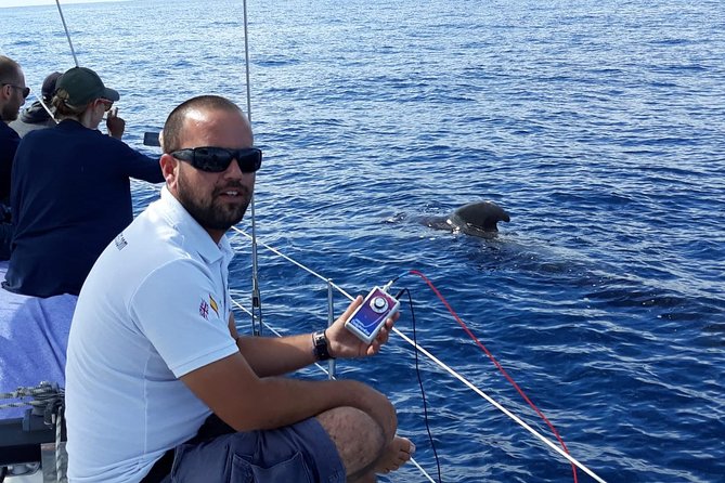 Private Yacht Tour With Whale and Dolphin Watching 42 Foot Boat - The Skipper Makes the Difference