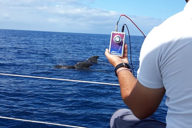 Private Yacht Tour With Whale and Dolphin Watching 42 Foot Boat - Meeting Point, Pickup, and Practical Details