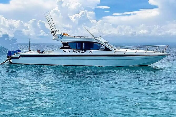 Private Yacht Trip Tour Bali - 8 Hours Day Trip Nusa Penida - SH2 - Key points to know before booking