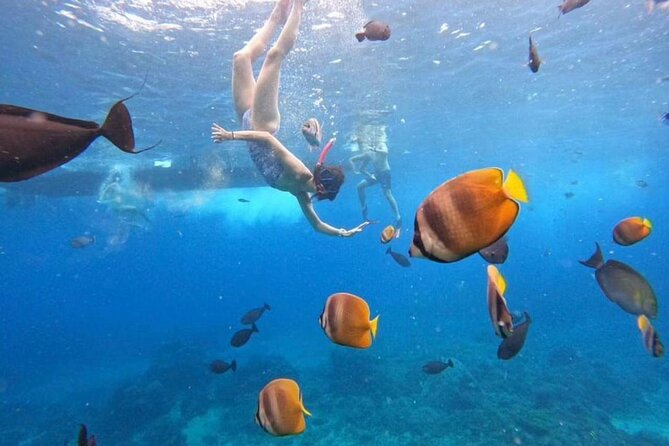 Private Yacht Trip Tour Bali - 8 Hours Day Trip Nusa Penida - SH2 - Who will get the most from this yacht day