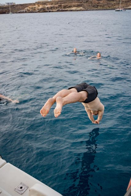 Puerto Colon: Whale and Dolphin Watching Yacht Trip - A quiet cove and Atlantic swim