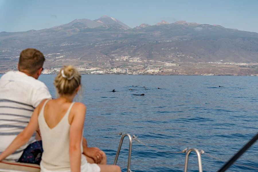 Puerto Colon: Whale and Dolphin Watching Yacht Trip - Who should book this trip