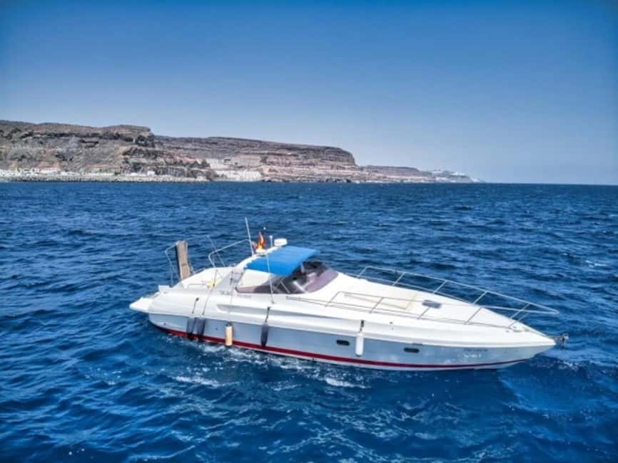 Puerto de Mogán: Private yacht for up to 9 people - Key points to know before you book