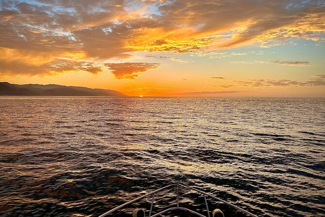 Puerto Vallarta: Luxury Yacht Sunset Cruise with Premium Open Bar - Could you see whales?