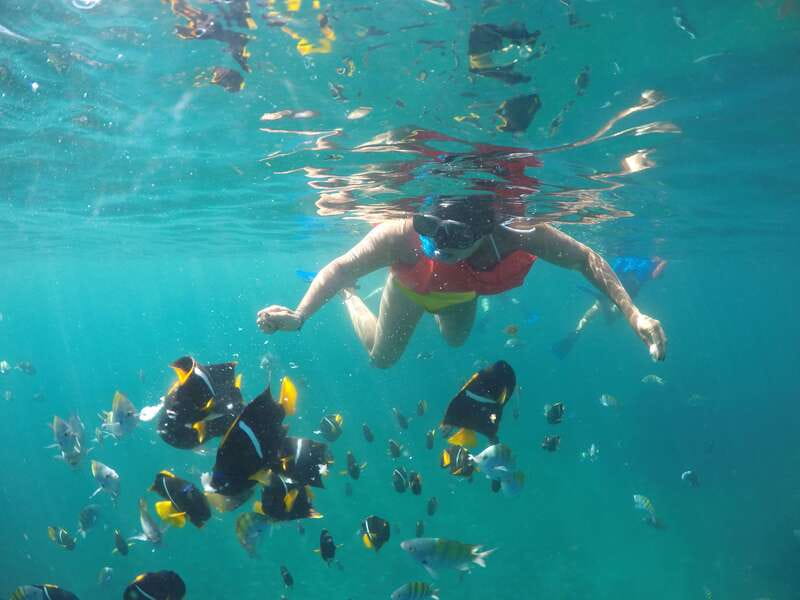 Puerto Vallarta: Luxury Yacht Tour with Lunch and Open Bar - A Comfortable Yacht, Not a Private Charter