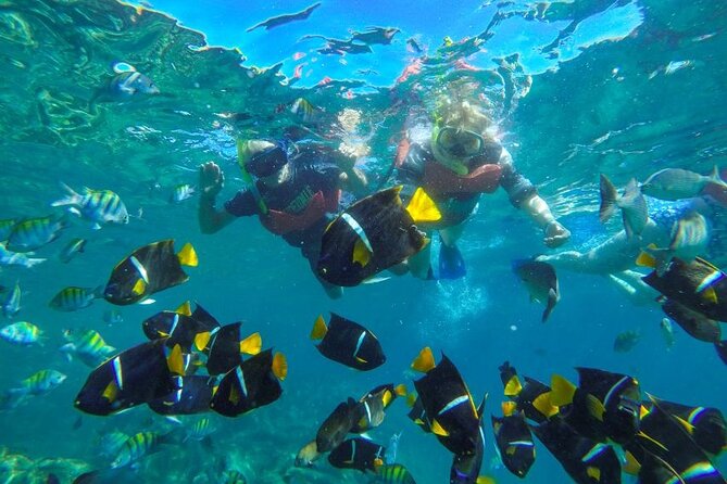 Puerto Vallarta: Private Yelapa Beach & Snorkel Tour on a Yacht - The yacht service is a major part of the value
