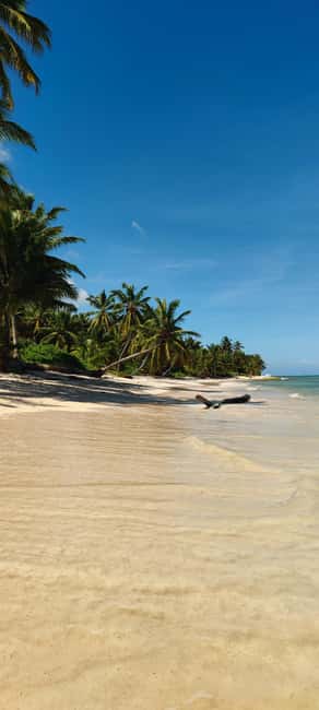 Punta Cana : Private yacht Snorkeling, Lagoon and Wild Beach - A beach stop with swings and palms