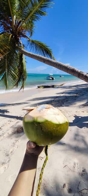 Punta Cana : Private yacht Snorkeling, Lagoon and Wild Beach - Should you book the Liva Boat outing?