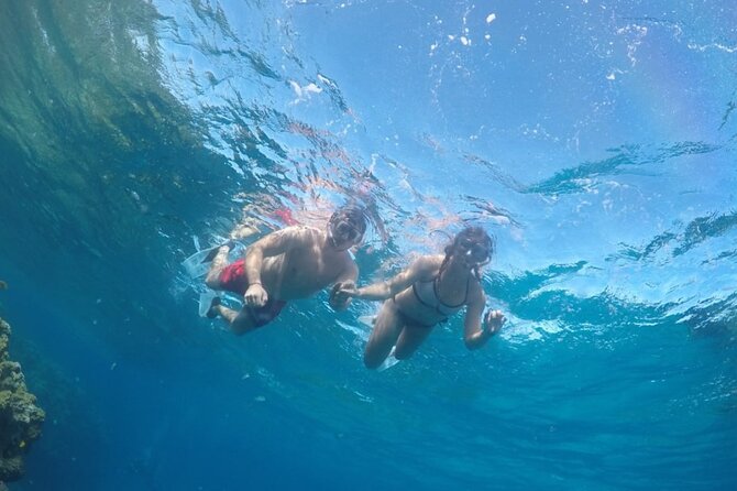 Ras Mohamed Full Day White Island on a yacht Sharm-el-Sheikh - From your hotel lobby to the Sharm El Sheikh pier
