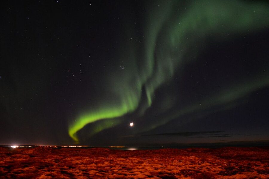 Reykjavik: Northern Lights Motor Yacht Cruise - Who will enjoy this cruise most?