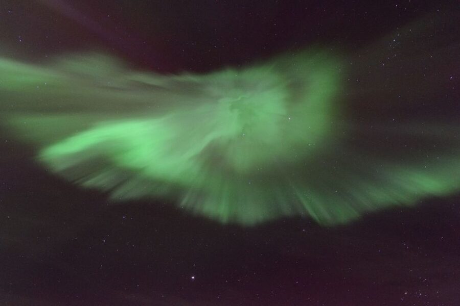 Reykjavik: Northern Lights Motor Yacht Cruise - Is $99 a fair price?