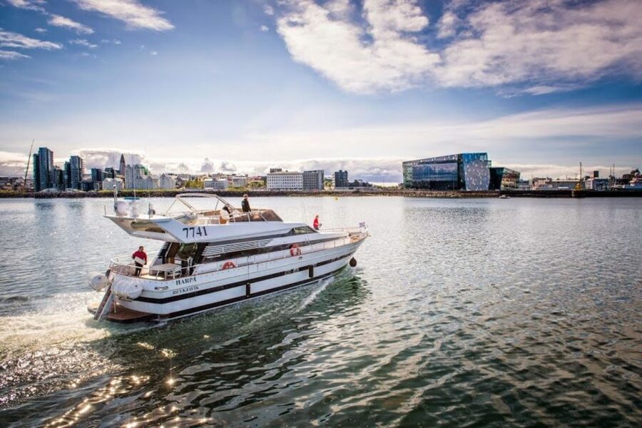 Reykjavik: Northern Lights Motor Yacht Cruise - Timing, check-in, and cancellation details