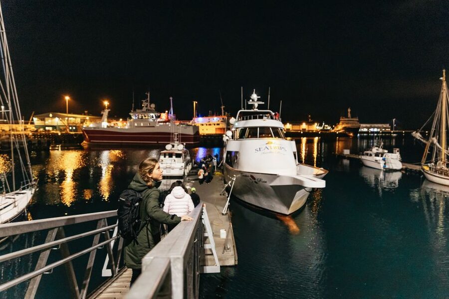 Reykjavik: Northern Lights Yacht Tour - How this compares with watching from land