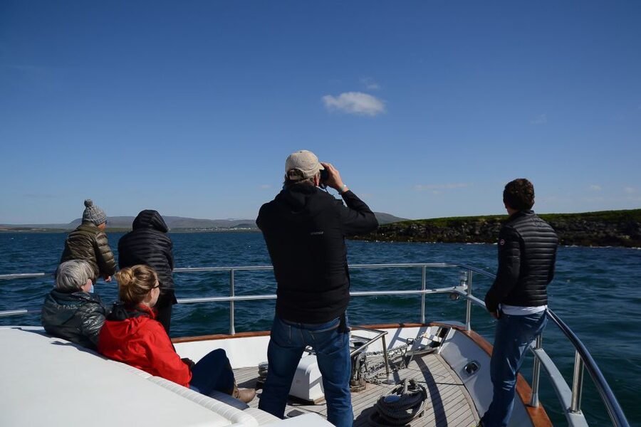 Reykjavik: Whale Watching and Dolphin Watching Yacht Cruise - Who will enjoy this cruise most