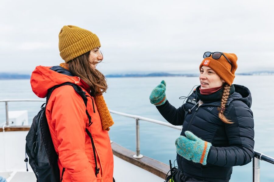 Reykjavík: Whale Watching Cruise on the Amelia Rose Yacht - Sailing out from Reykjavik’s Old Harbor