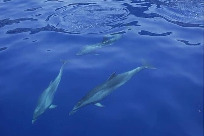 Sailing Yacht on a Private Charter - Who will enjoy this yacht charter most