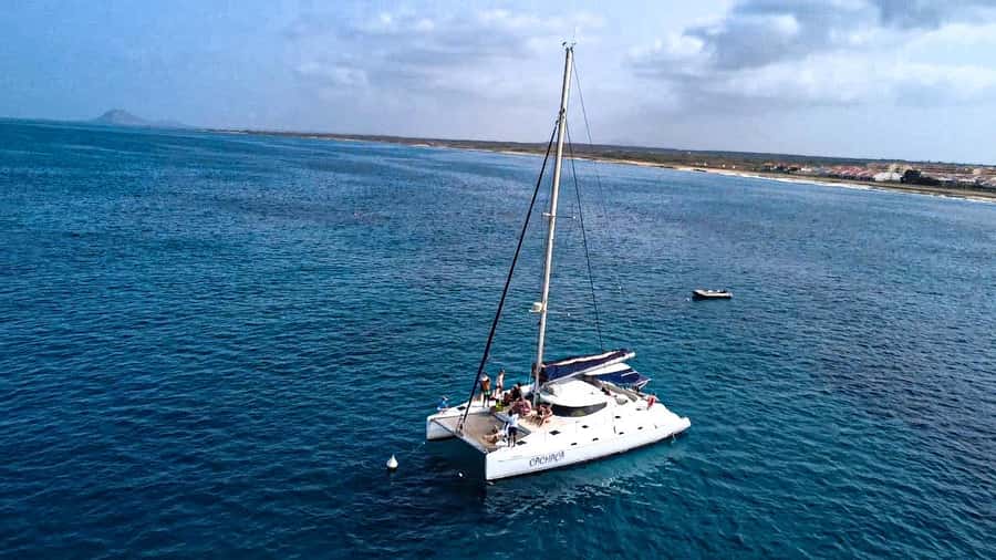 Sal, Cape Verde: Half day on Cuba Libre sailing yacht - Wildlife along the Atlantic coast