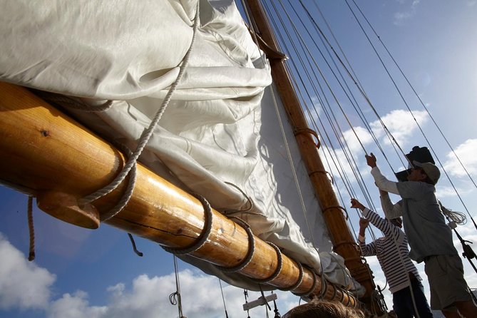 San Diego Bay Sail Aboard a Vintage Yacht Beer and Wine Included - Who should book this San Diego sailing trip