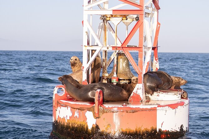 Santa Barbara Narrated Coastal Yacht Experience - Seating, decks, music, and the onboard mood