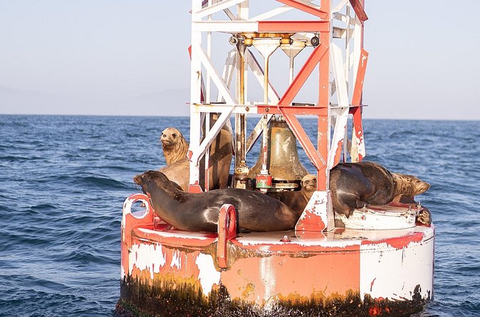 Santa Barbara Narrated Coastal Yacht Experience - Is $45 a fair price for 90 minutes?