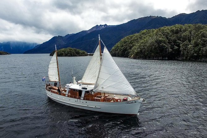 Scenic Cruise & Guided Walk on Historic Motor Yacht Lake Te Anau - Afternoon tea on the lake