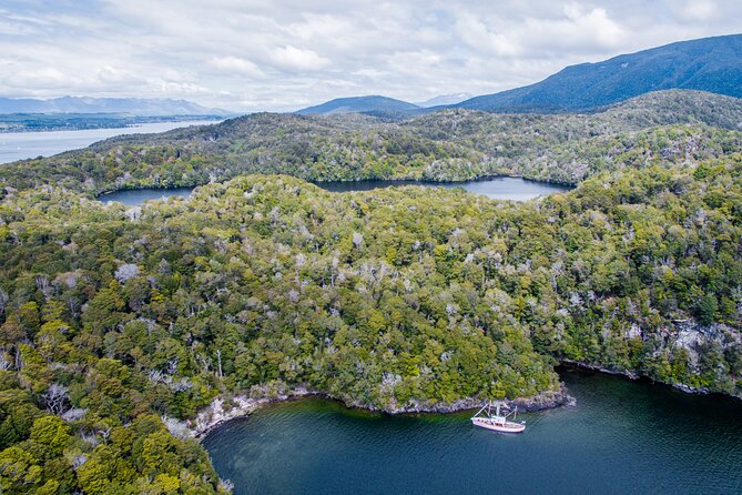 Scenic Cruise & Guided Walk on Historic Motor Yacht Lake Te Anau - Is the $102.39 price good value?