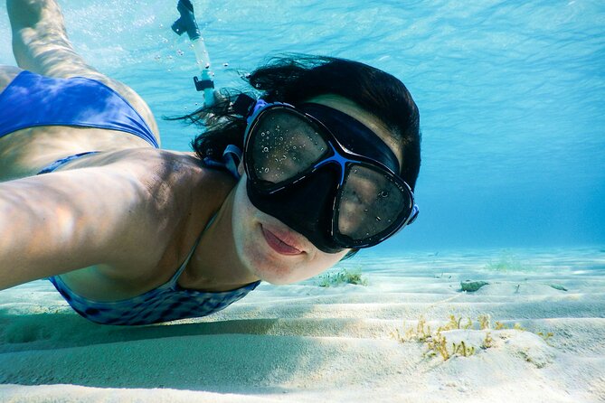 Small group tour by premium yacht to Elaphite Islands - Key points before you book
