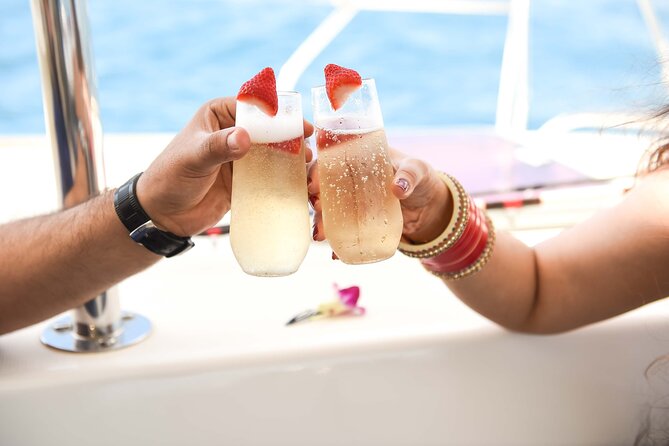 Small Group Yacht Sunset Cruise from Oahu - Wildlife Sightings Are a Bonus, Not a Promise