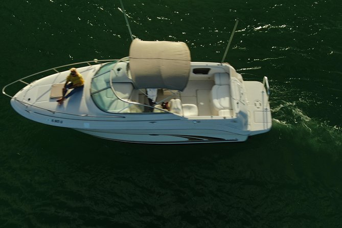 Snorkel & Sandbar on Private Searay Yacht 25ft in Cap Cana Marina ,Punta Cana - Drinks, gear, and what to bring
