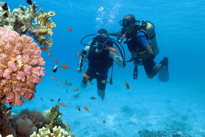 Snorkeling Day White Island & Ras Mohamed With Top VIP yacht - Forty-five minutes of Red Sea sailing