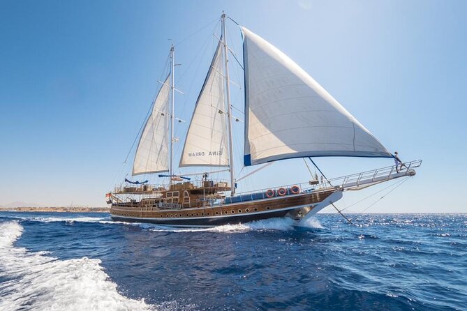 Snorkeling trip to Ras Mohamed & The White Island aboard Luxury Yacht - Snorkeling at Ras Mohamed National Park