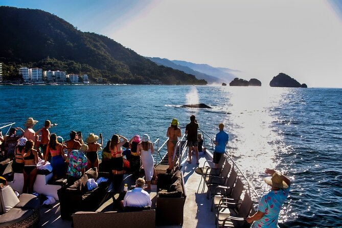 Sunsets and Whales Mega Yachts ALL INCLUSIVE: Puerto Vallarta - What this Puerto Vallarta cruise is really like