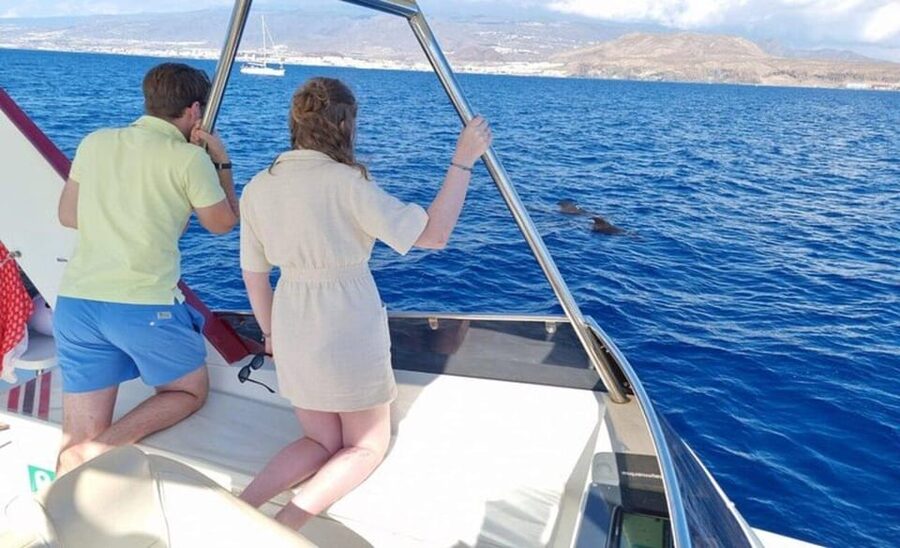 Tenerife: Eco-Yacht Whale and Dolphin Watching and Swimming - The Cave of Love and Palm-Mar coastline