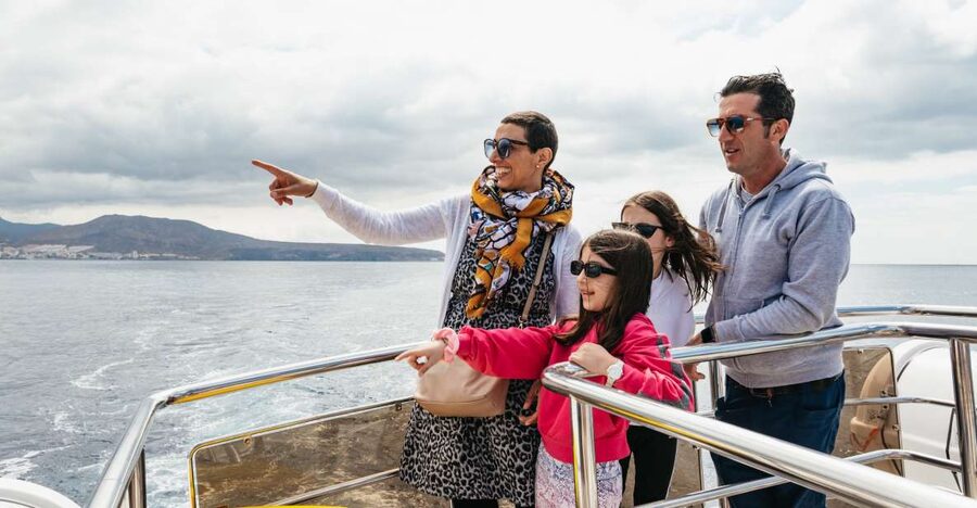 Tenerife: Eco-Yacht Whale and Dolphin Watching and Swimming - How much value do you get for $13?